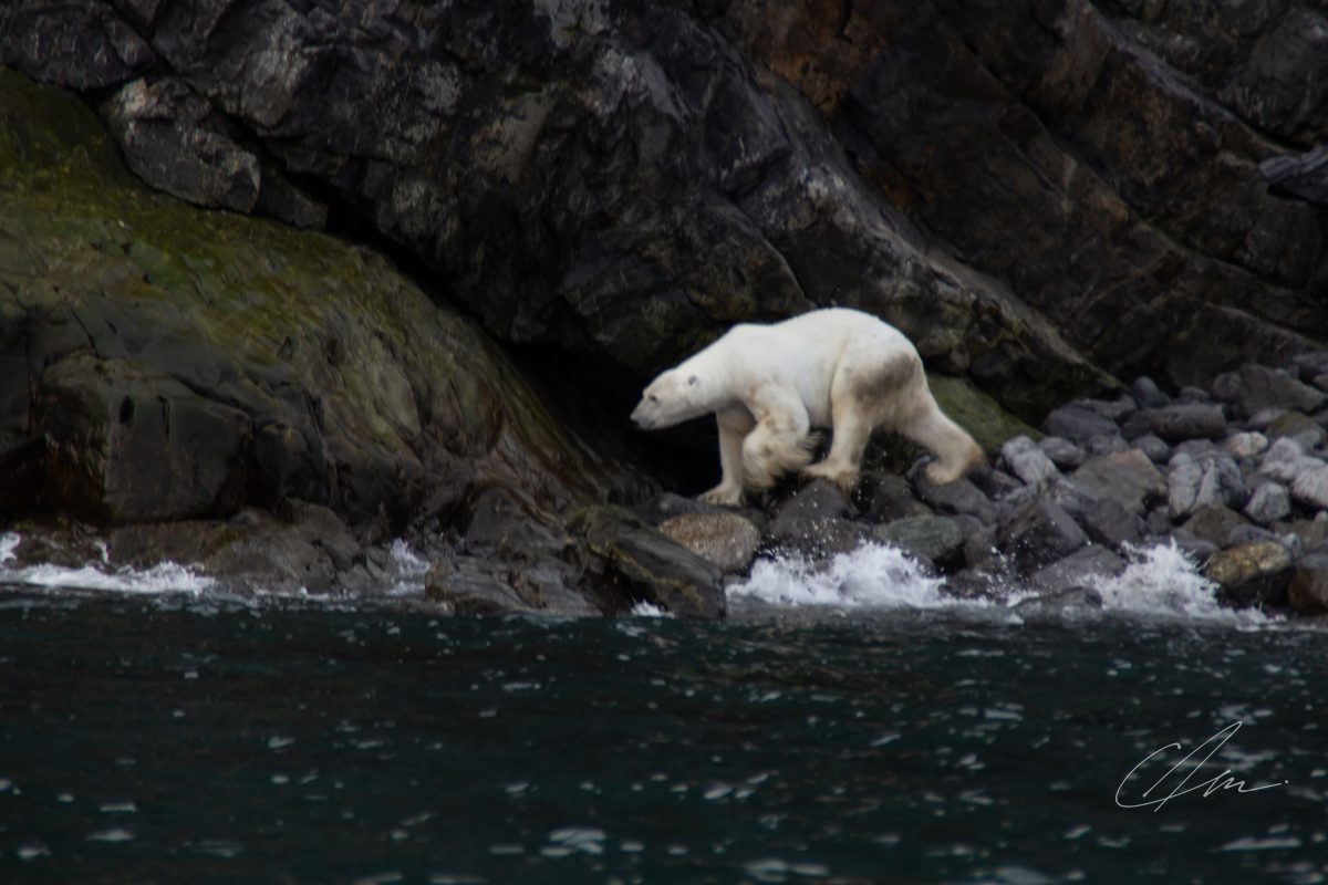 Greenland 017