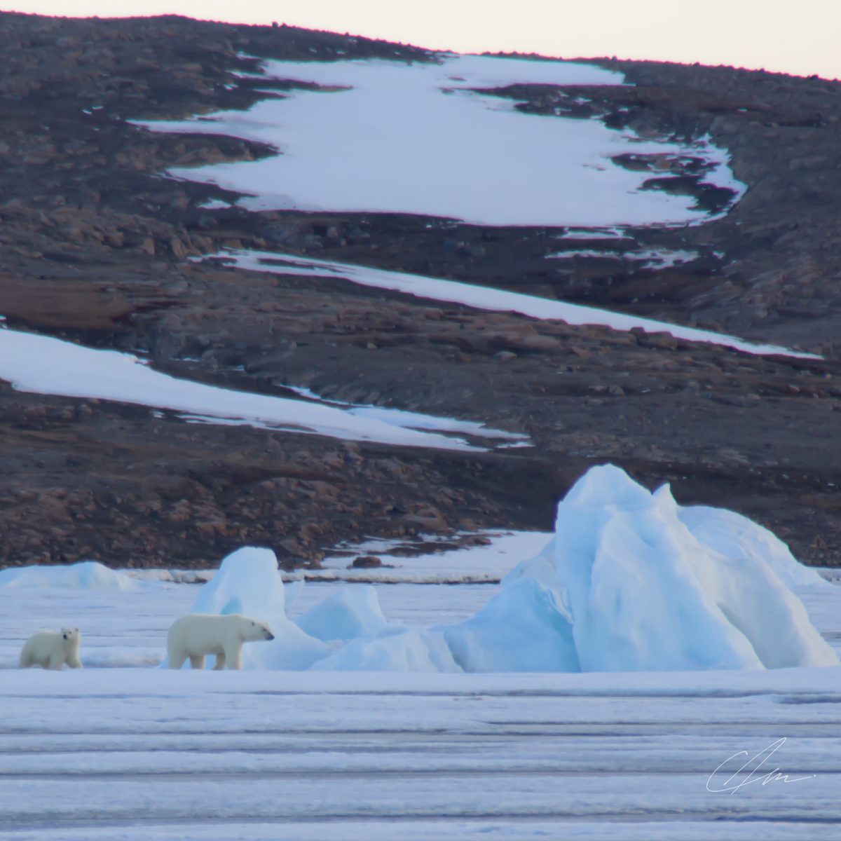 Greenland 018