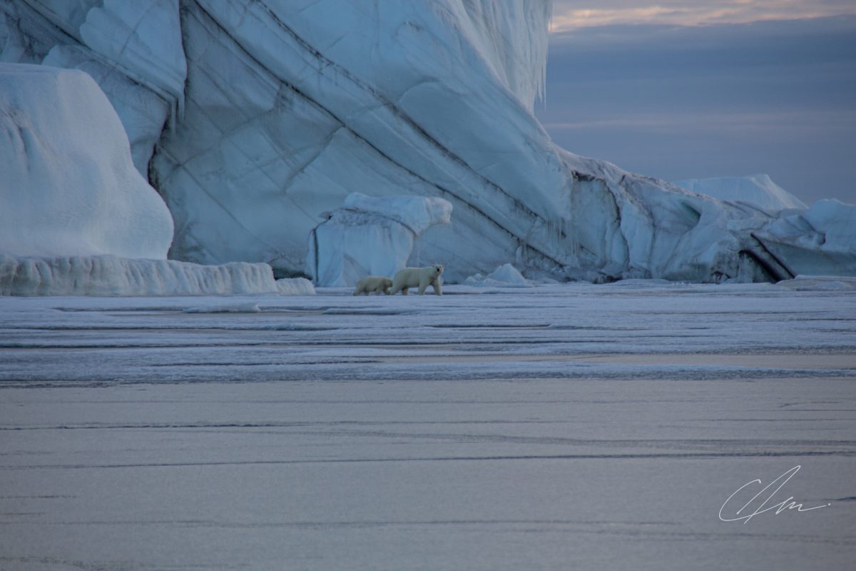 Greenland 019