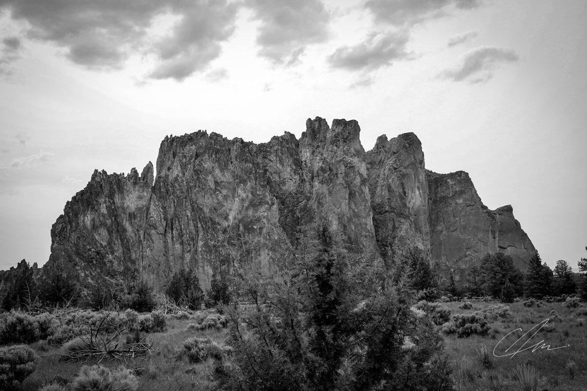 Black & White 001