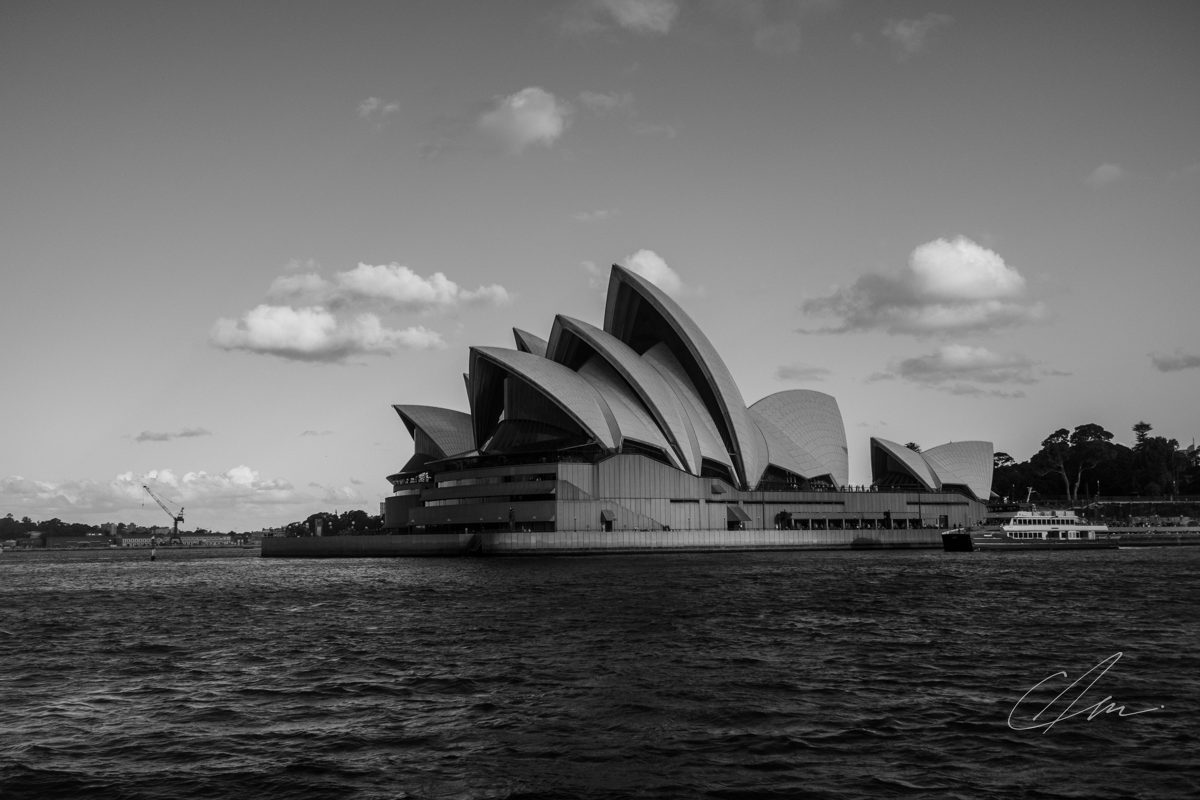 Black & White 006