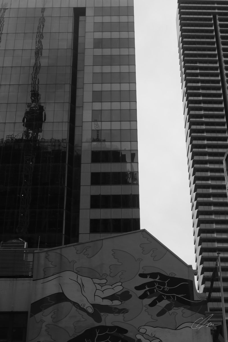 Black & White 008