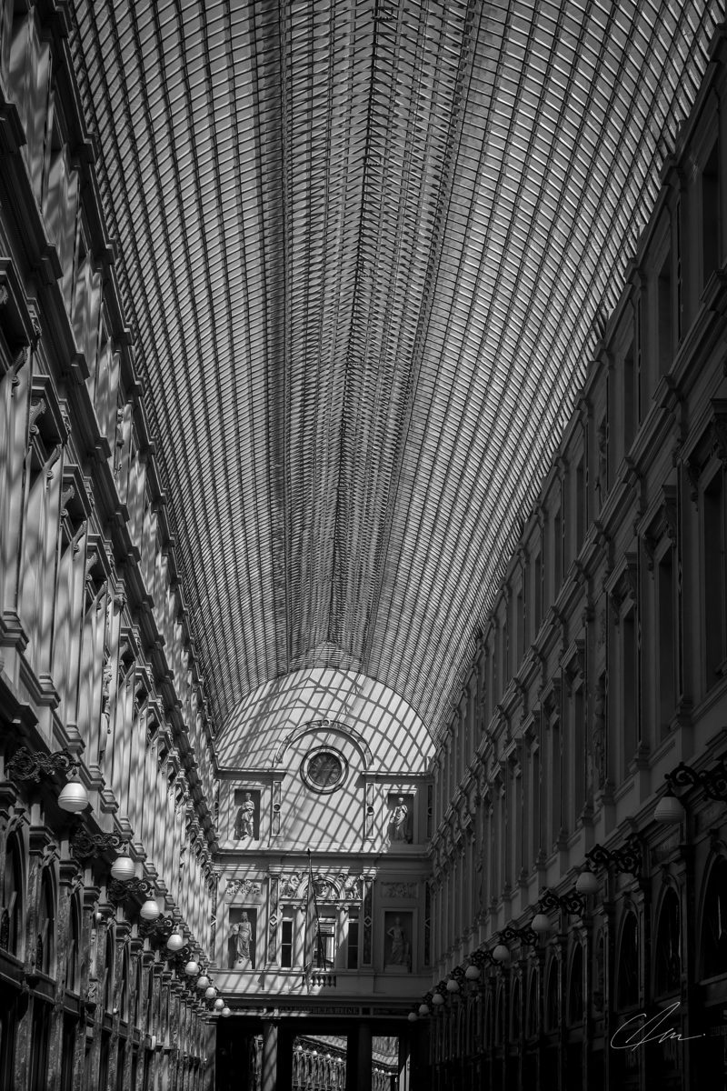 Black & White 009