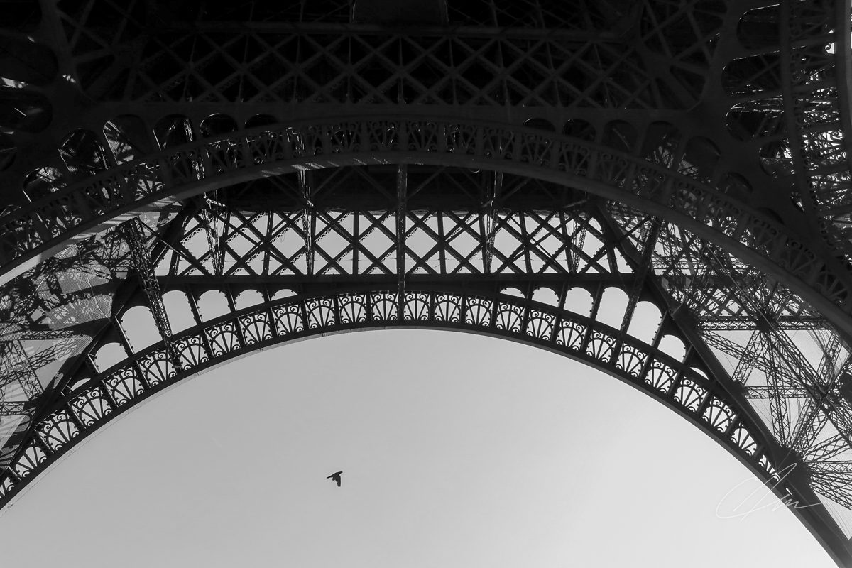 Black & White 012
