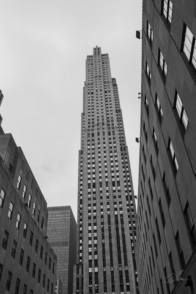 Black & White 018