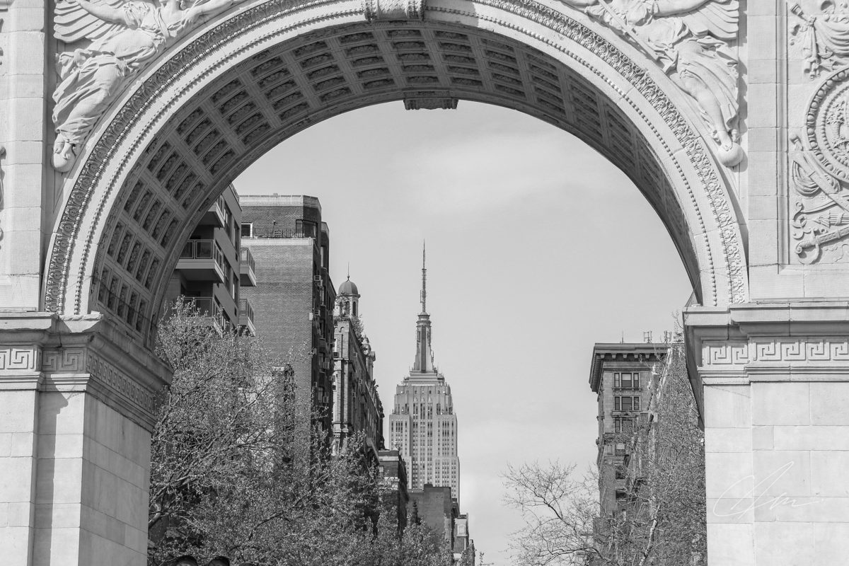 Black & White 019