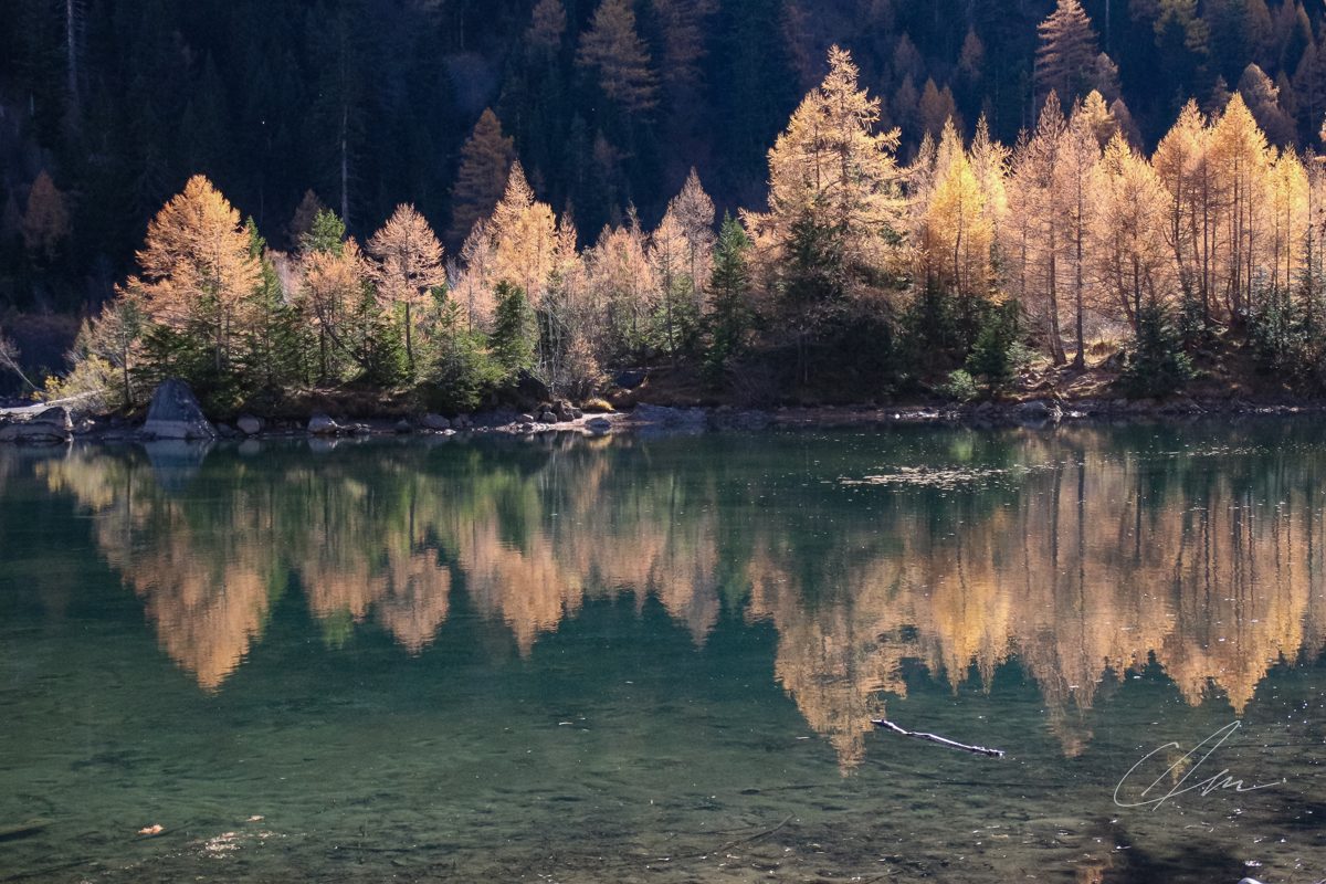 Landscape 006