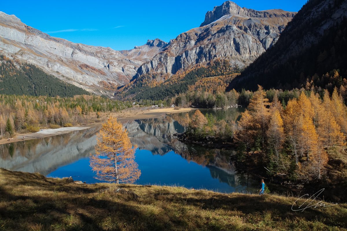 Landscape 009