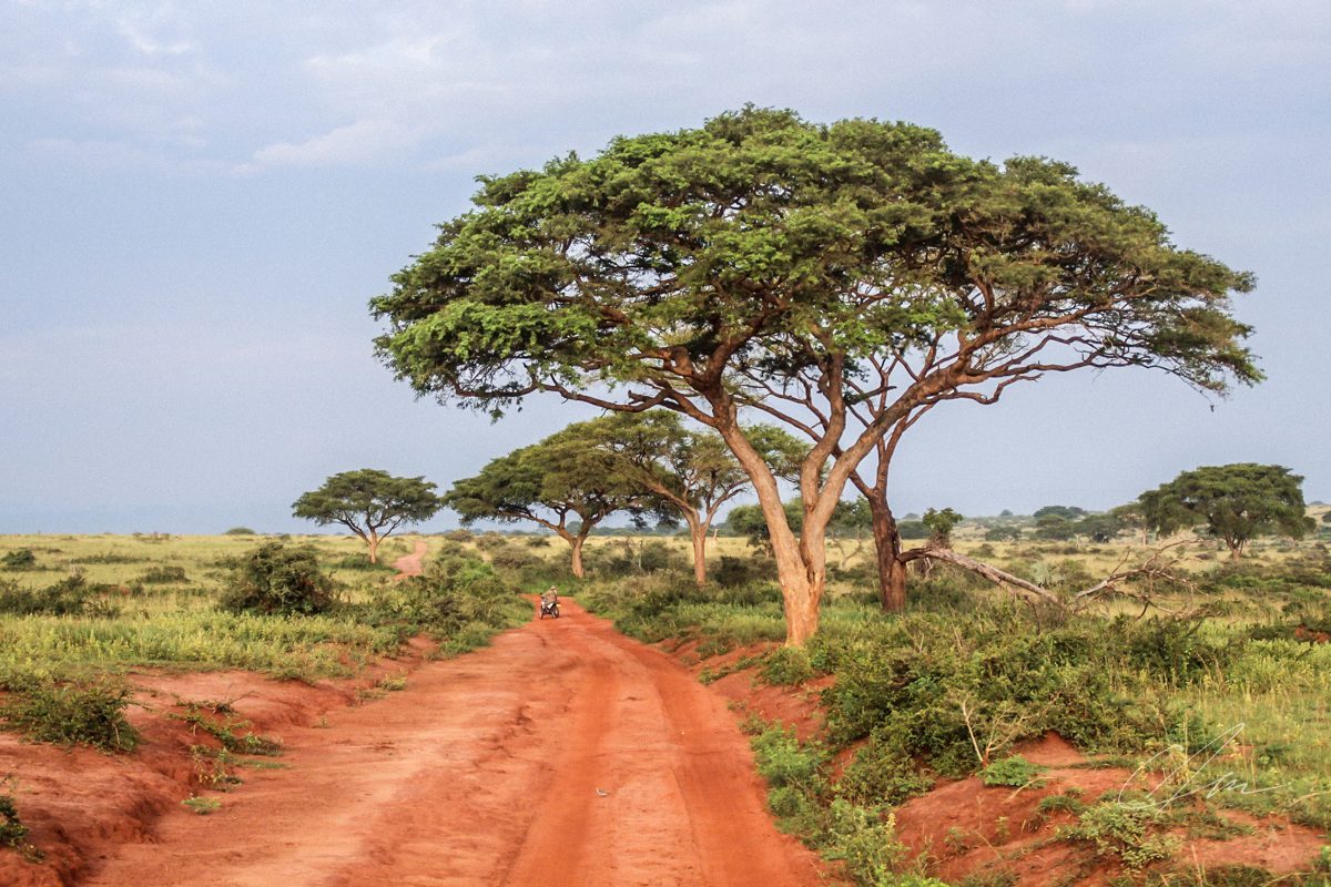 Landscape 086