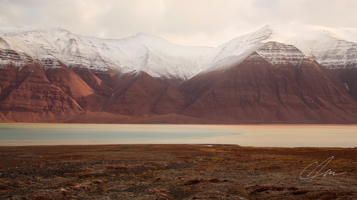 Landscape 011