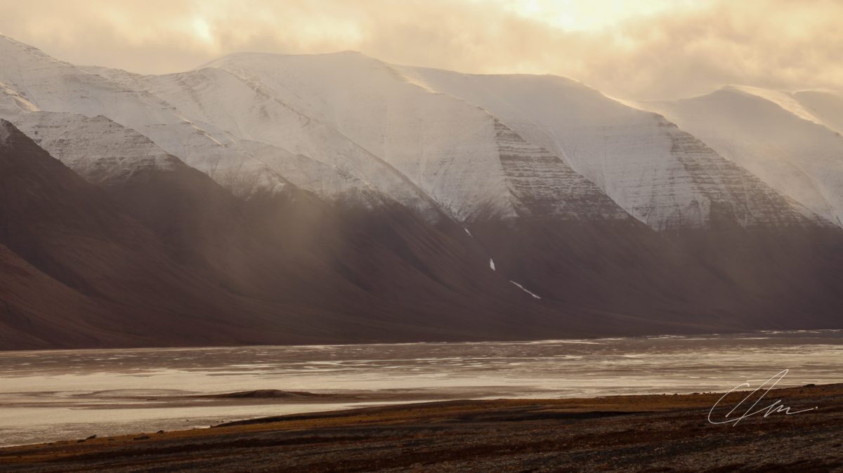 Landscape 012