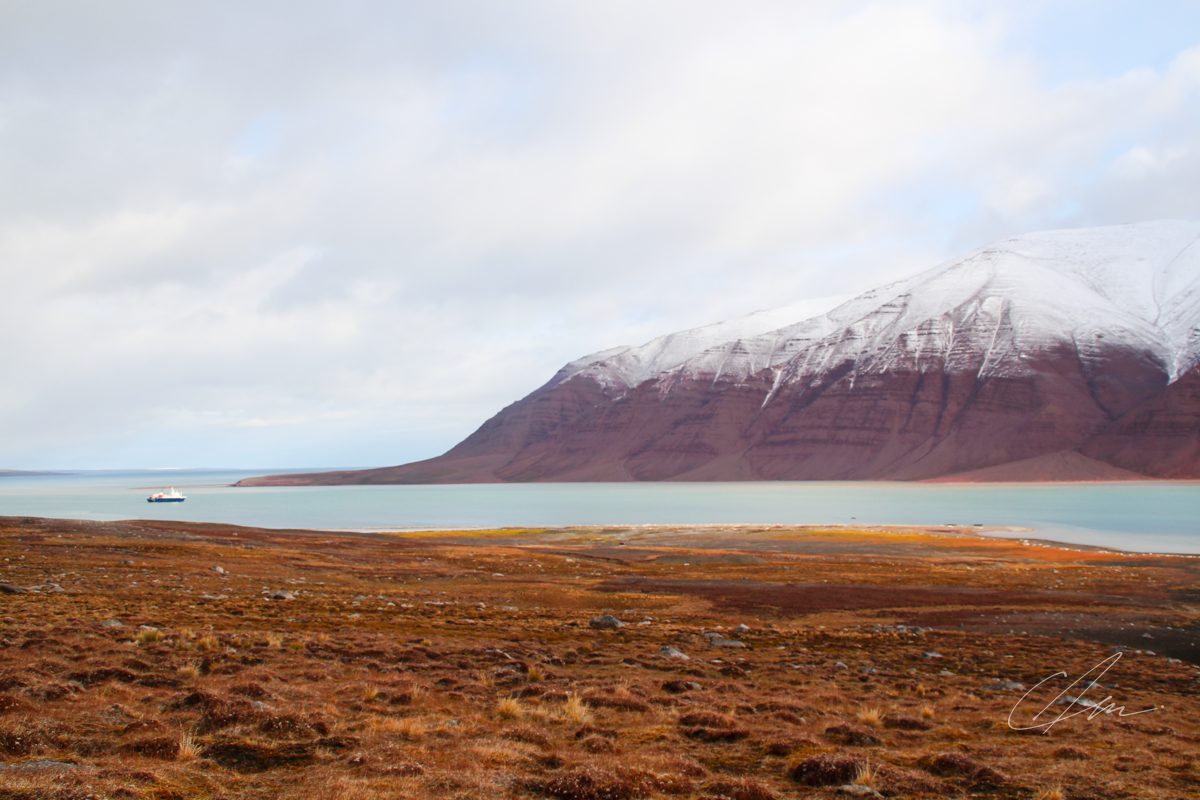 Landscape 014
