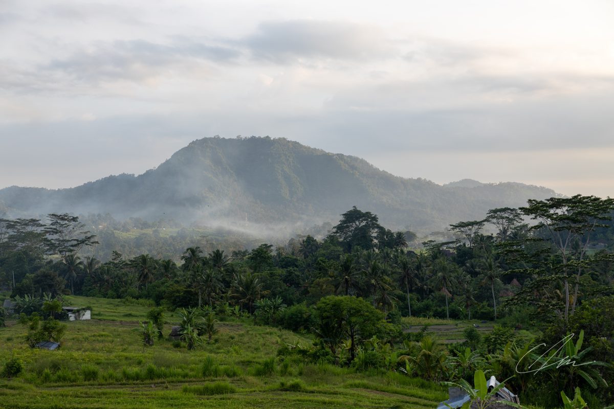 Landscape 017
