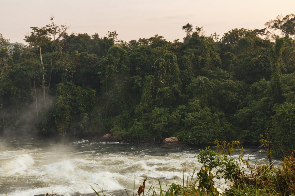 Landscape 023