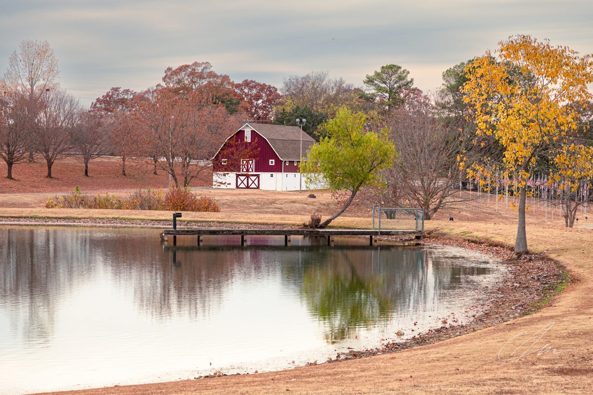 Landscape 033