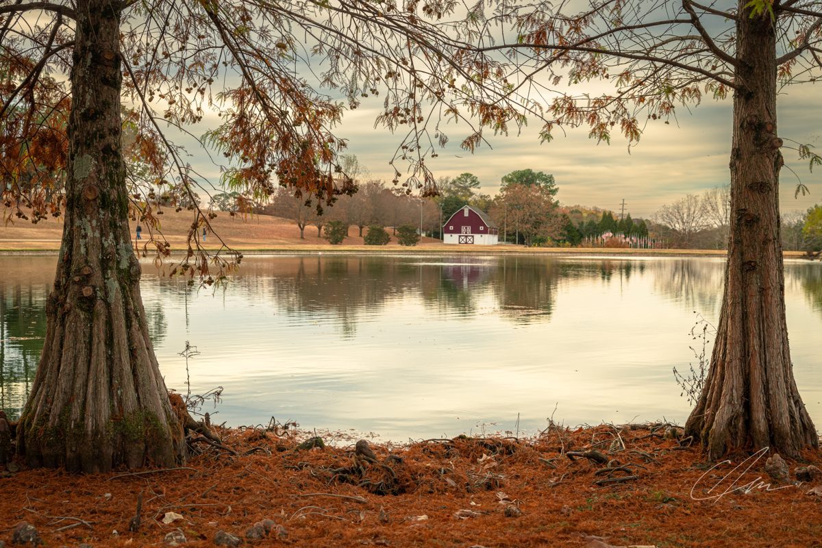 Landscape 034