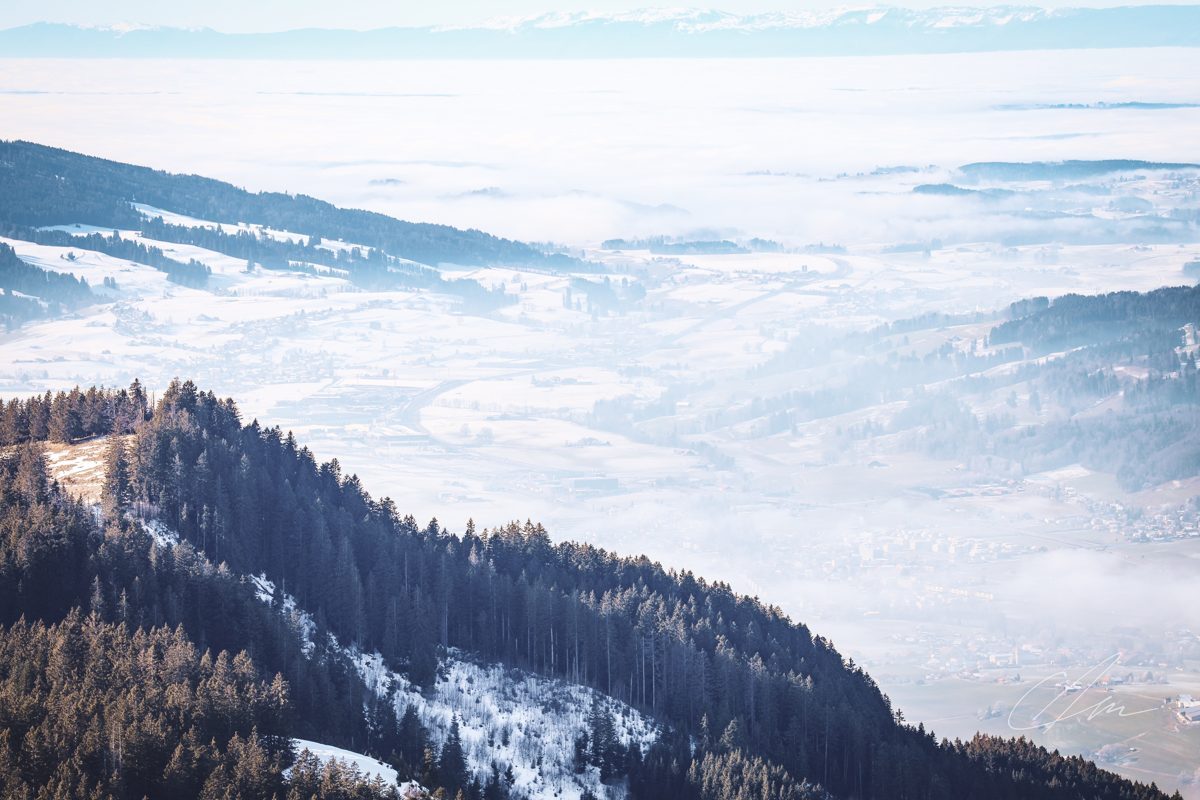 Landscape 051