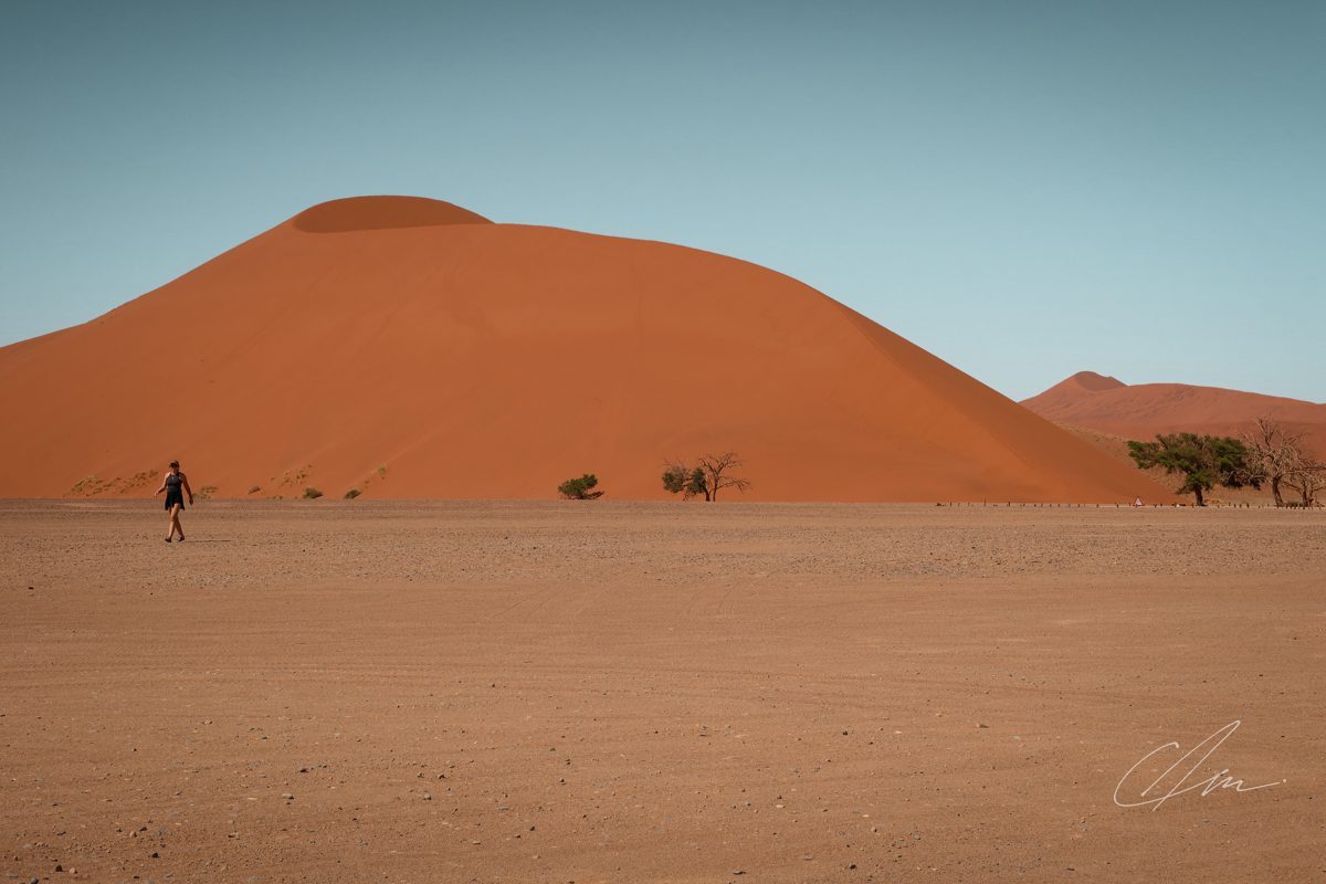 Landscape 058