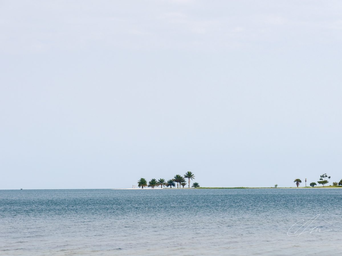 Landscape 063
