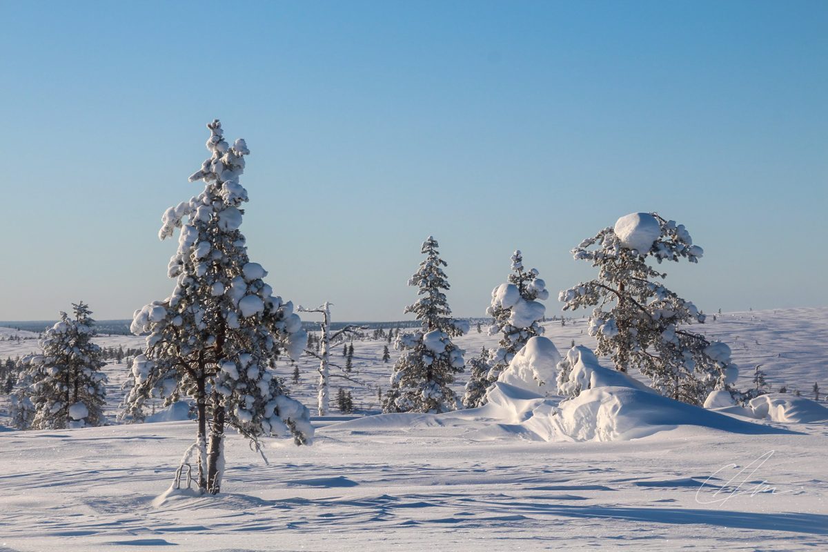 Landscape 064