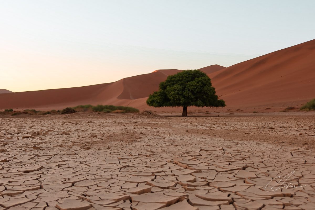 Landscape 075