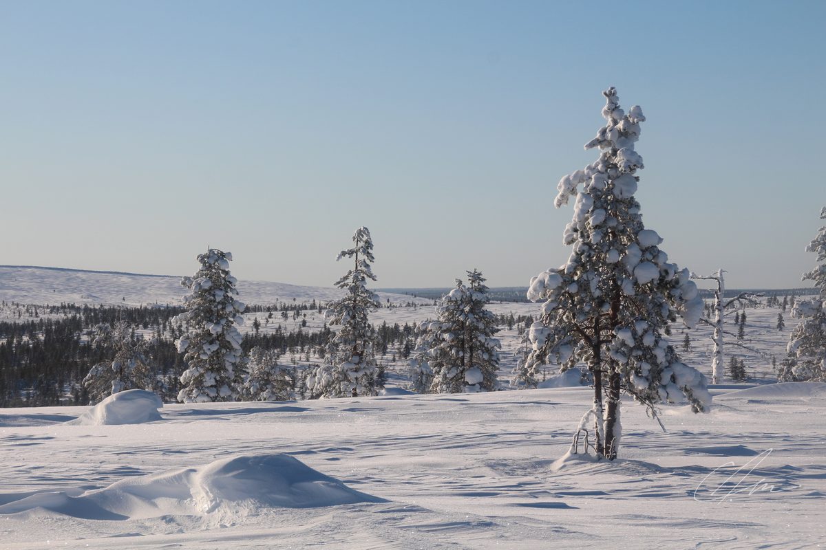 Lapland 019