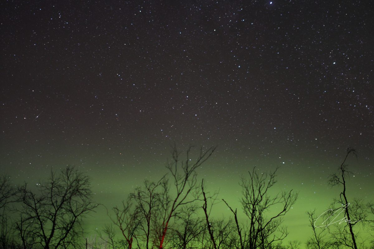 Lapland 022