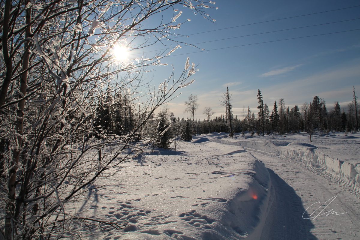 Lapland 023