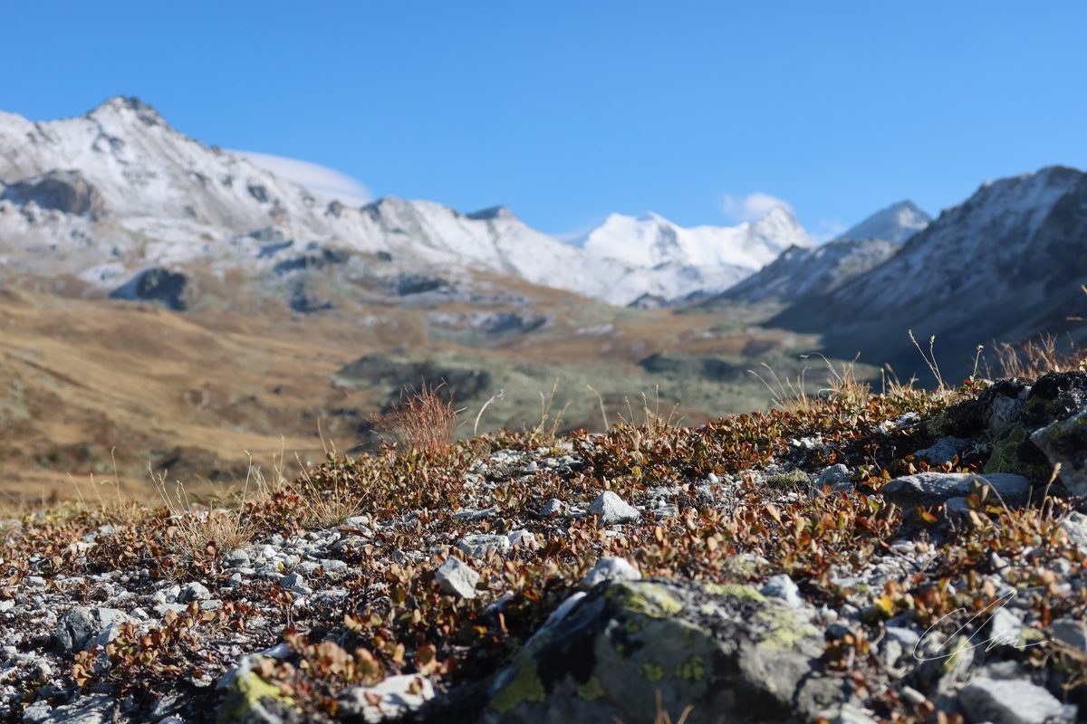 Mountains 033