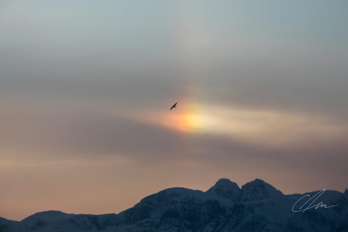 Mountains 065