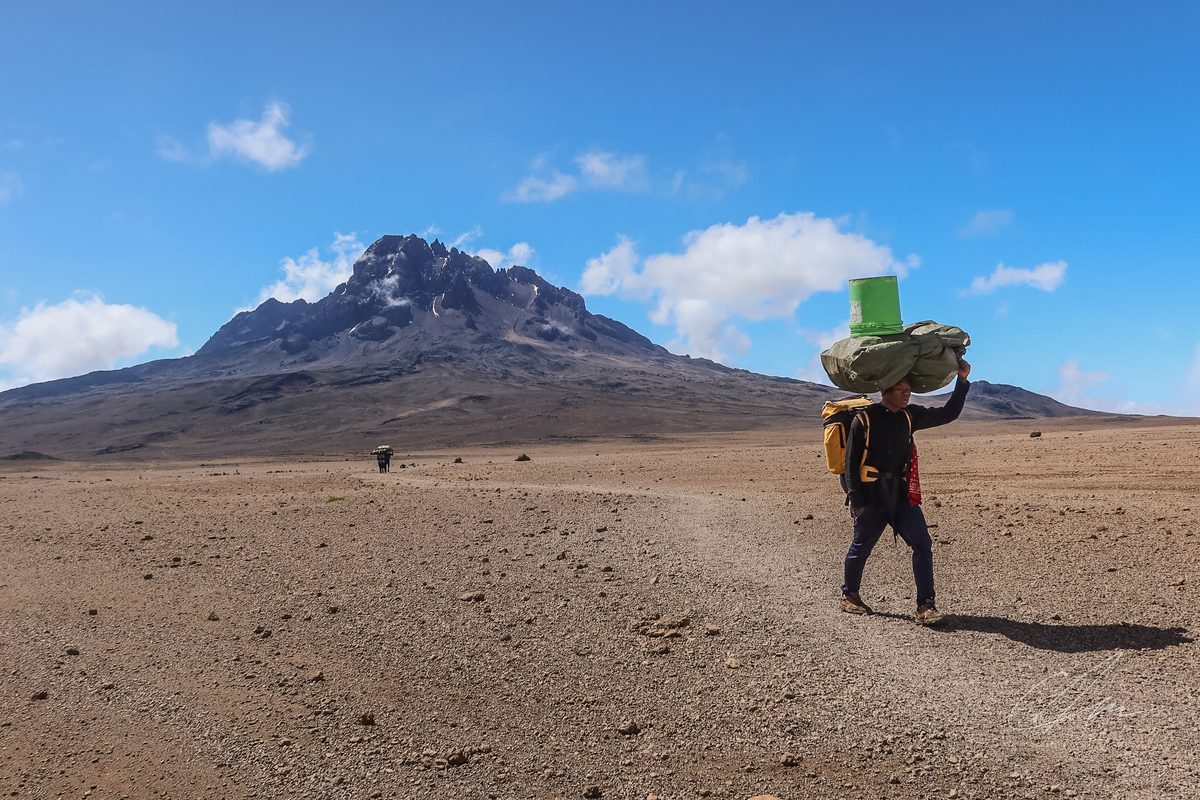 Mt Kilimanjaro 003