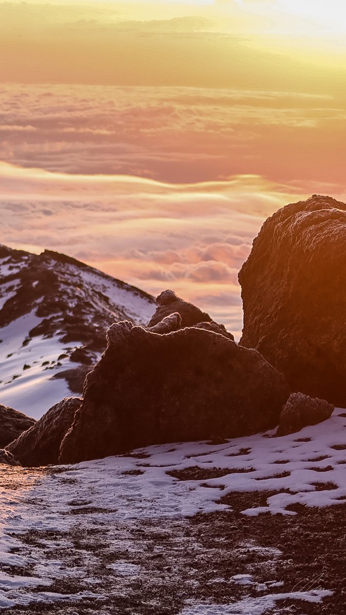 Mt Kilimanjaro 005