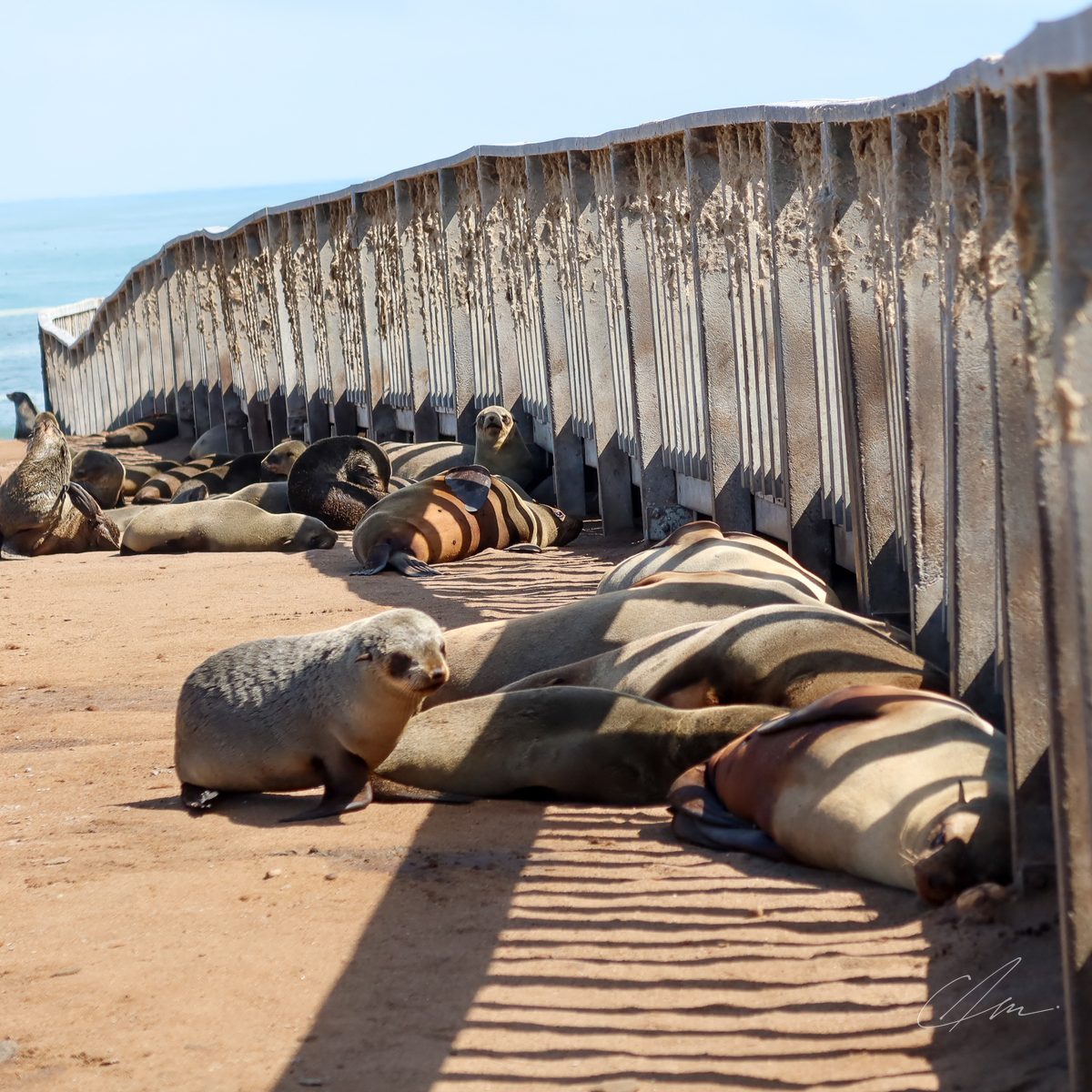 Namibia 003