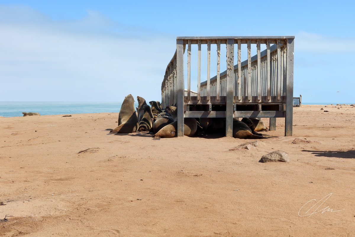 Namibia 005