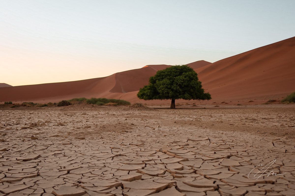 Namibia 008