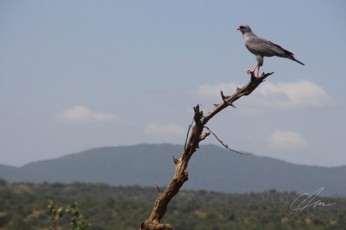 Uganda 006