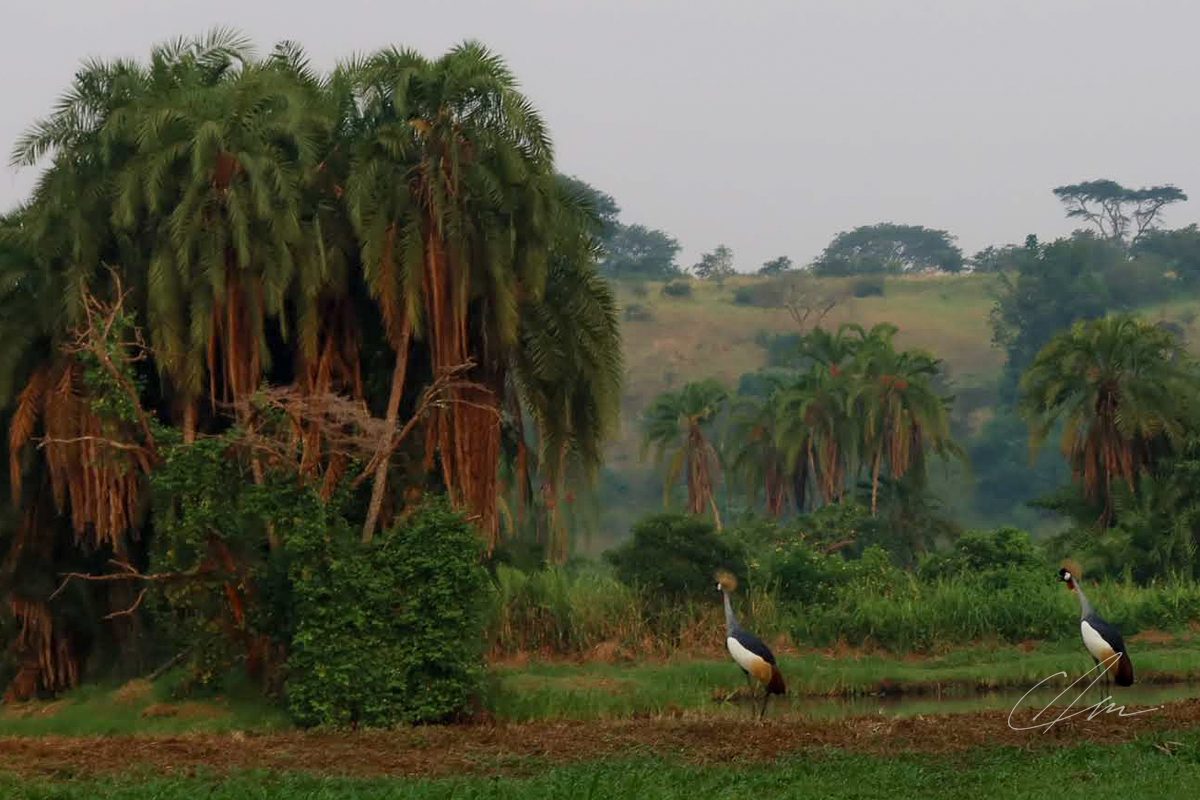 Uganda 040